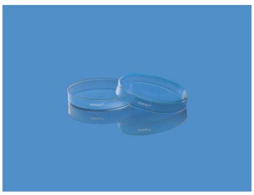 Borosil 3160 Culture Petri Dish Aggstrom