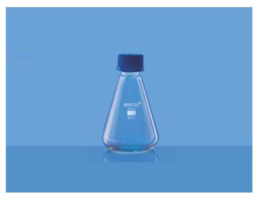 Borosil 5021 Conical Flask with Screw Cap Aggstrom